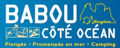logo-babou-cote-ocean